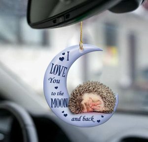 Hedgehog Moon and Back Flat Acrylic Car Ornamenrt Car Decor P303 PANORPG0133